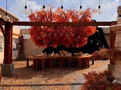-Blue Concept Cafe&Farm·關於藍