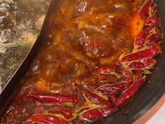 -朱光玉火锅馆(正弘城店)