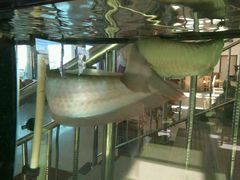 -赶海部落海鲜城(海阳路店)