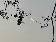 -小李子油焖大虾向阳总店