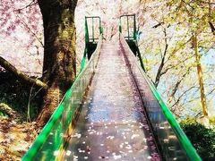 -中百仓储超市(汉川马口店)