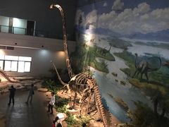 -自贡恐龙博物馆