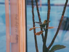 景观位-仁义涵西餐·咖啡(中华巴洛克店)