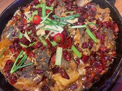 -老板恋上鱼(恒隆广场店)