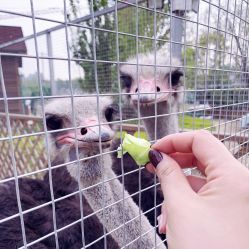 -萌宠亲子动物乐园(槐房万达店)