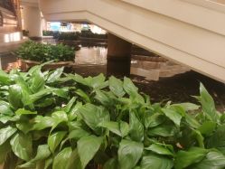 -上海万豪虹桥大酒店·宴会厅