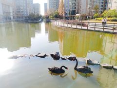 -梧桐人家中国太平国际健康颐养社区