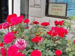 -世龙世家灰指甲鸡眼脚气甲沟炎跖疣护理(通州店)