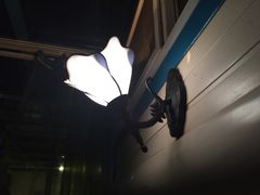 海妖酒吧-Sirena海妖日咖夜酒