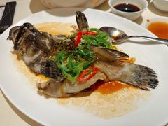 -利苑酒家(华熙国际店)