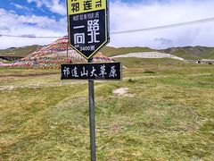 -祁连山草原