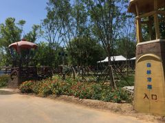 -永定河休闲森林公园