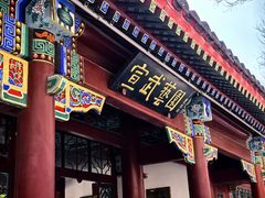 -宣武艺园
