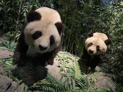 -武汉园博园(武汉自然博物馆)