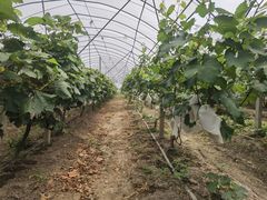 -美家乐农庄·露营·团建(大治路店)