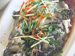 -众味海鲜大排档·活海鲜·潮汕味(南澳店)