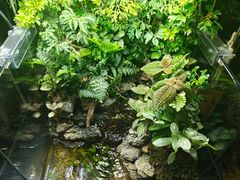 -扶摇湘宴·烤鸭·湘粤宴(中关村·北大店)