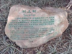 -广州中山纪念堂
