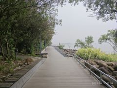 -上海吴淞炮台湾国家湿地公园