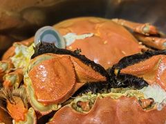 -蟹小姐节气生鲜·年货(高新店)