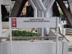 -香港大学