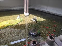 -几荷·恰似故人来(秀水广场店)