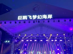 -巨鹏飞梦幻海岸