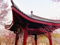 -堤角公园