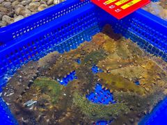 -驻海渔市(置信店)