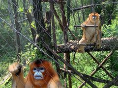 -哈尔滨北方森林动物园