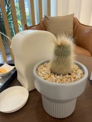 -澳玛·星光医疗美容