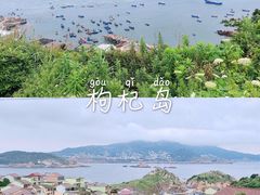 -枸杞岛