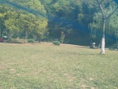 -南山渔宴
