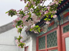 -海棠花溪(元大都城垣遗址公园)