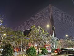 -旺金鸽(穗盐路总店)