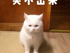 -椰子下蛋(南锣鼓巷店)