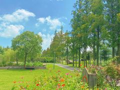 -前小桔亲子创意农场·草莓采摘·露营烧烤