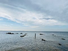 -养马岛旅游度假区