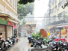 -清平中药材专业市场