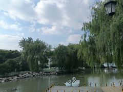 -金庭庄园酒店-停车场