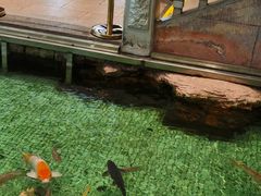 -金河半岛园林酒家(金融城店)