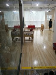 -苹果树儿童摄影工作室