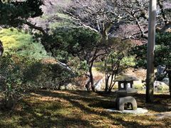 -京都御所