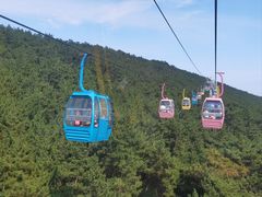 -摩天岭风景区