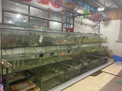 -岛中岛·海鲜大排档·万宁老字号(东澳店)