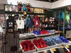 -猫咪博物馆(顶澳仔猫街店)