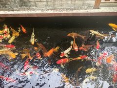 -侠成水上农庄(工业大道店)