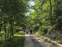 -上海佘山国家森林公园西佘山园