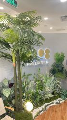 -八佰伴8008星级形象店