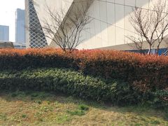 -南京国际青年文化中心